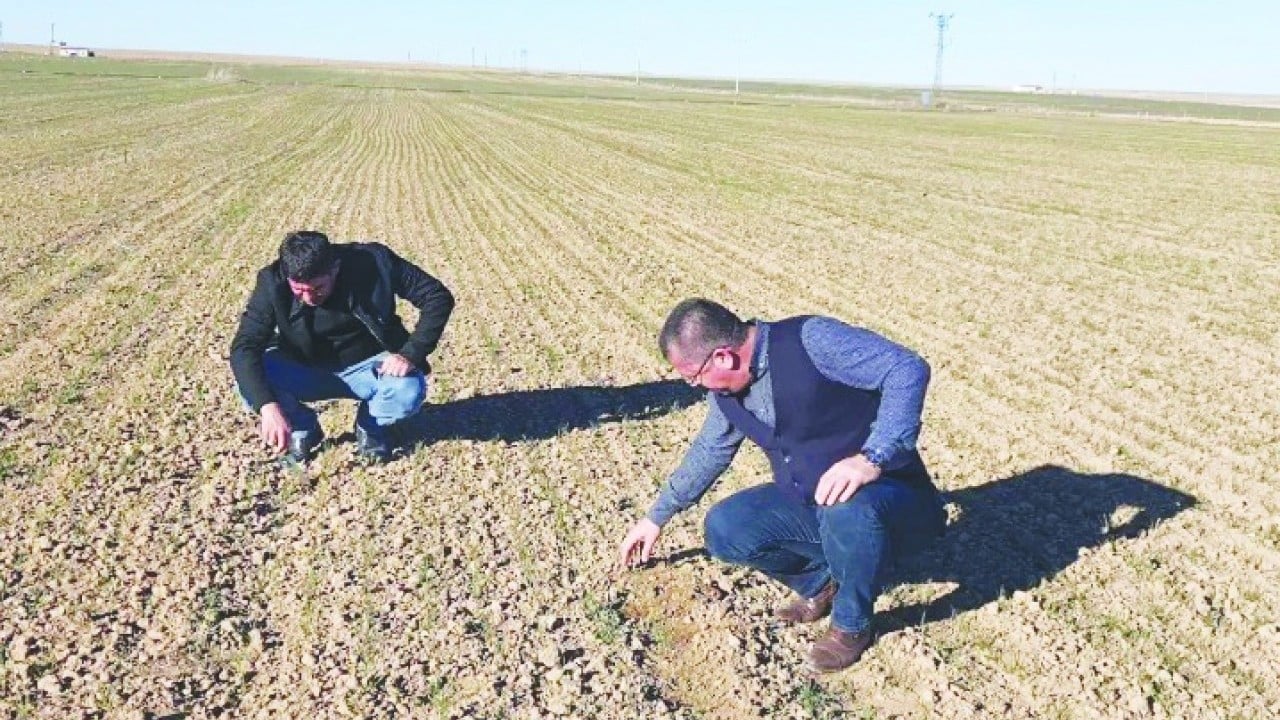 Foto - Dünya için tehlike çanları çalıyor 1 milyardan fazla insan tehdit altında