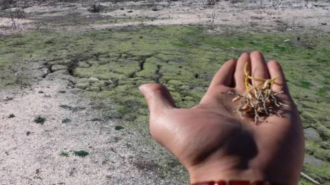 Dünya için tehlike çanları çalıyor 1 milyardan fazla insan tehdit altında