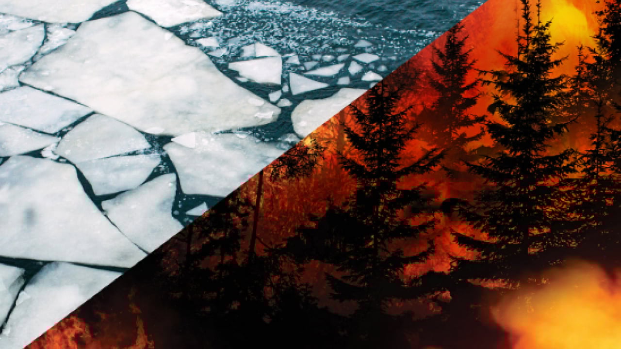 Foto - Dünya kıyameti yaşıyor! Bir taraf donarken, diğer taraf yanıyor: İnsanlık çaresiz