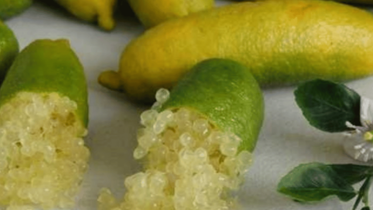 Foto - Dünya mutfağında popüler oldu! Türkiye'de ismini bilen yok