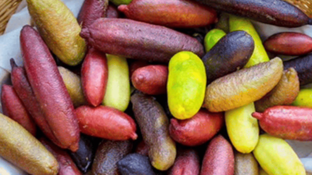 Foto - Dünya mutfağında popüler oldu! Türkiye'de ismini bilen yok