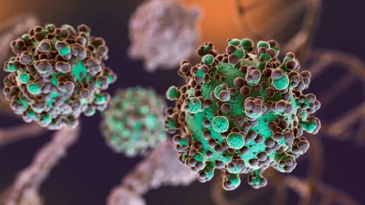 Foto - Dünya Sağlık Örgütü alarmda! Sivrisinekten bulaşıyor tedavisi yok