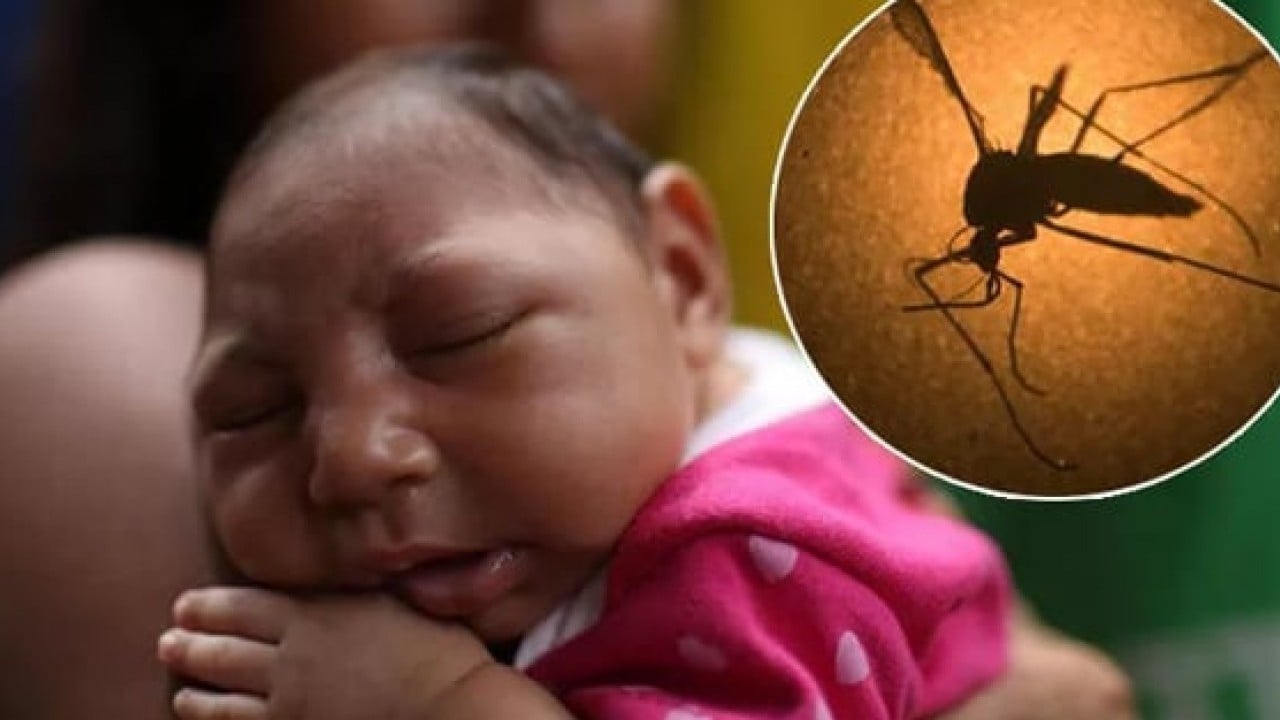 Foto - Dünya Sağlık Örgütü alarmda! Sivrisinekten bulaşıyor tedavisi yok