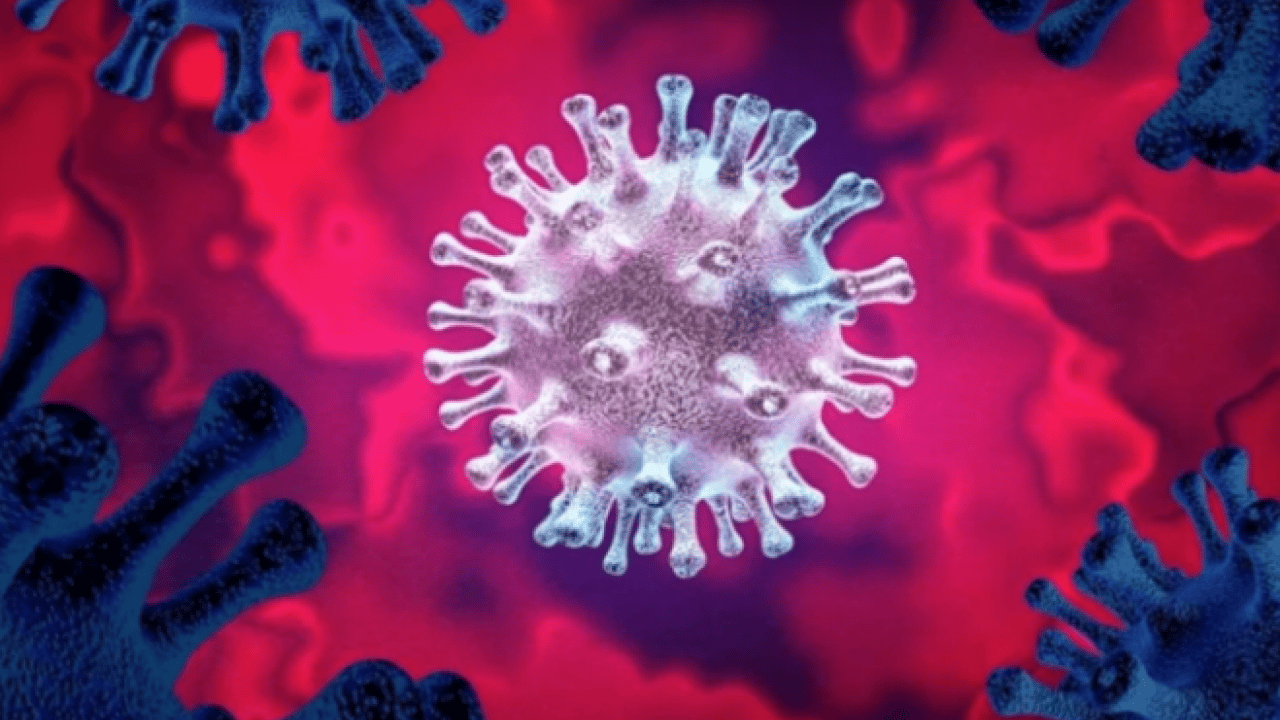 Foto - Dünya şokta! Cicada varyantı hızla yayılıyor: Yeni pandemi riski var mı?