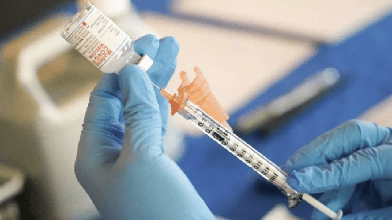 Dünya şokta! Cicada varyantı hızla yayılıyor: Yeni pandemi riski var mı?