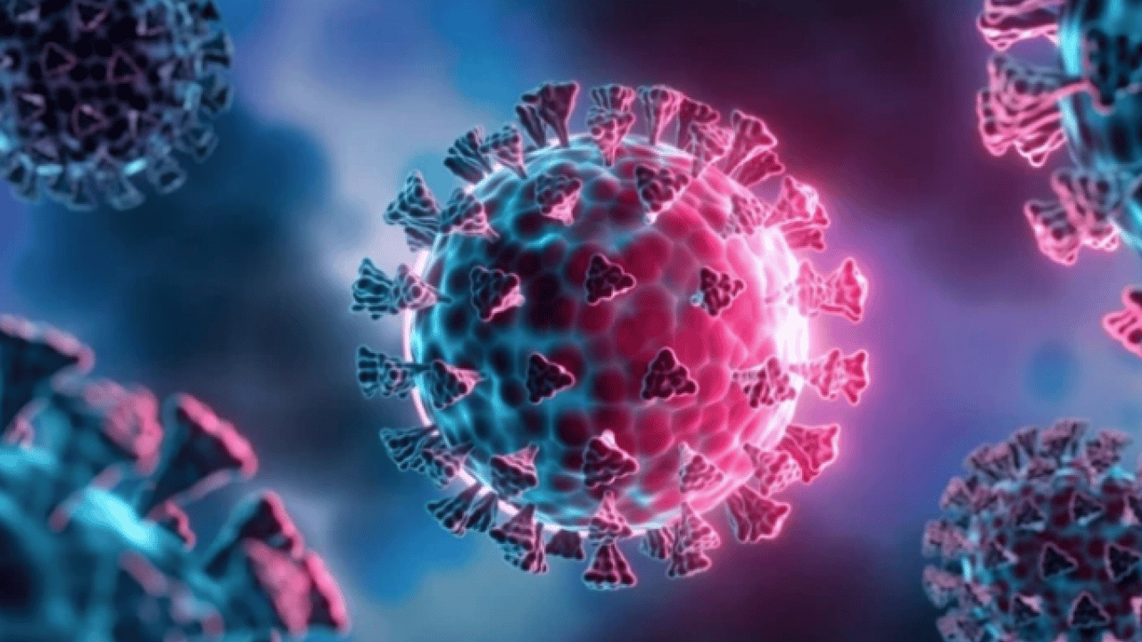 Foto - Dünya şokta! Cicada varyantı hızla yayılıyor: Yeni pandemi riski var mı?