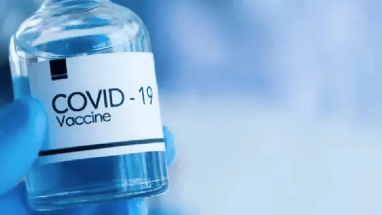 Foto - Dünya şokta! Cicada varyantı hızla yayılıyor: Yeni pandemi riski var mı?