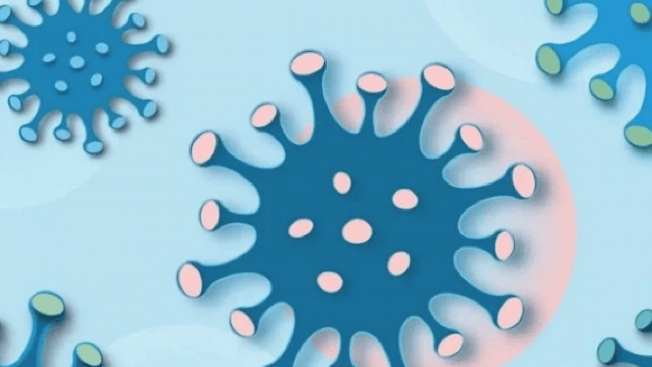 Foto - Dünya şokta! Cicada varyantı hızla yayılıyor: Yeni pandemi riski var mı?