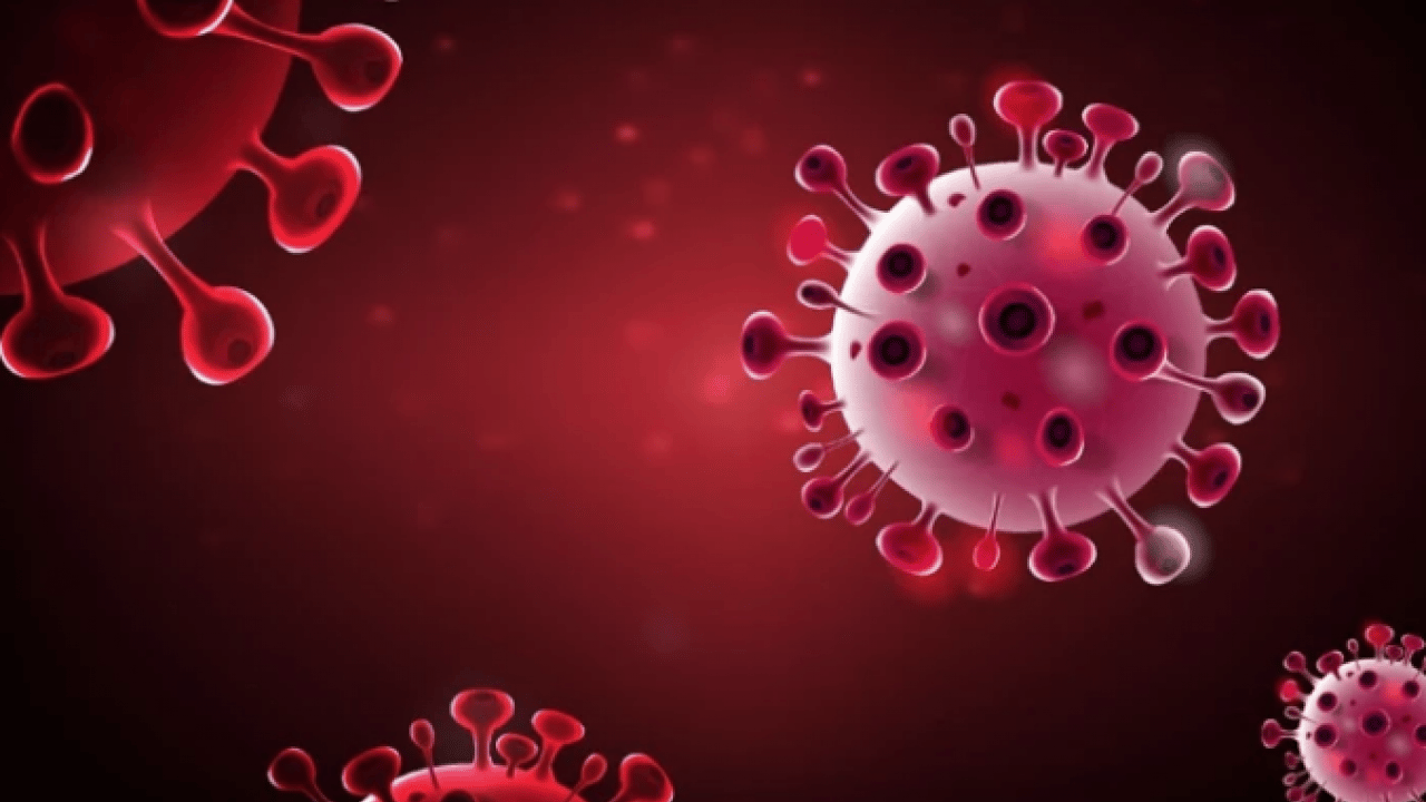 Foto - Dünya şokta! Cicada varyantı hızla yayılıyor: Yeni pandemi riski var mı?