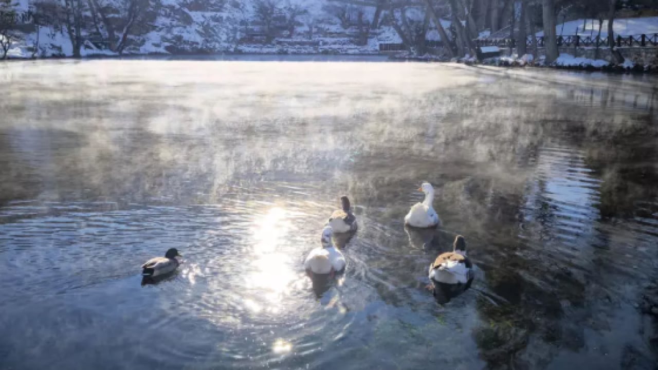Dünyada emsali yok: Kentte her yer dondu bir tek o donmadı!