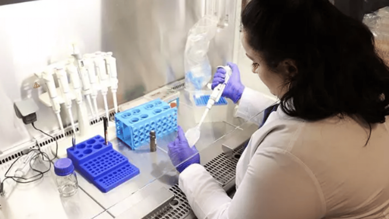 Foto - Dünyada en çok Türkiye'de var: Kanser karşıtı özelliği gün yüzüne çıktı!