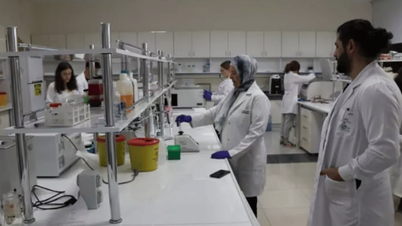 Foto - Dünyada en çok Türkiye'de var: Kanser karşıtı özelliği gün yüzüne çıktı!