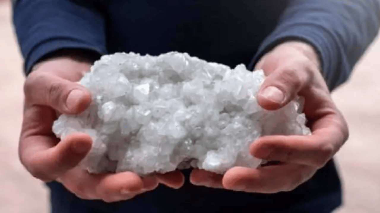 Foto - Dünyada en çok Türkiye'de var: Kanser karşıtı özelliği gün yüzüne çıktı!