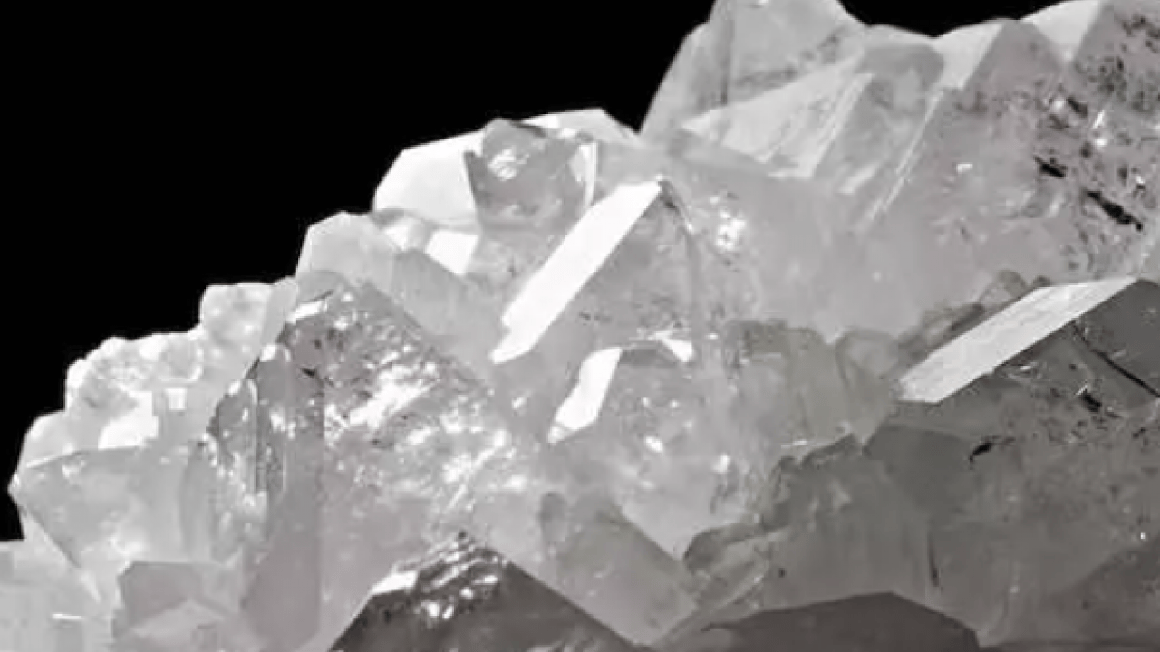 Foto - Dünyada en çok Türkiye'de var: Kanser karşıtı özelliği gün yüzüne çıktı!