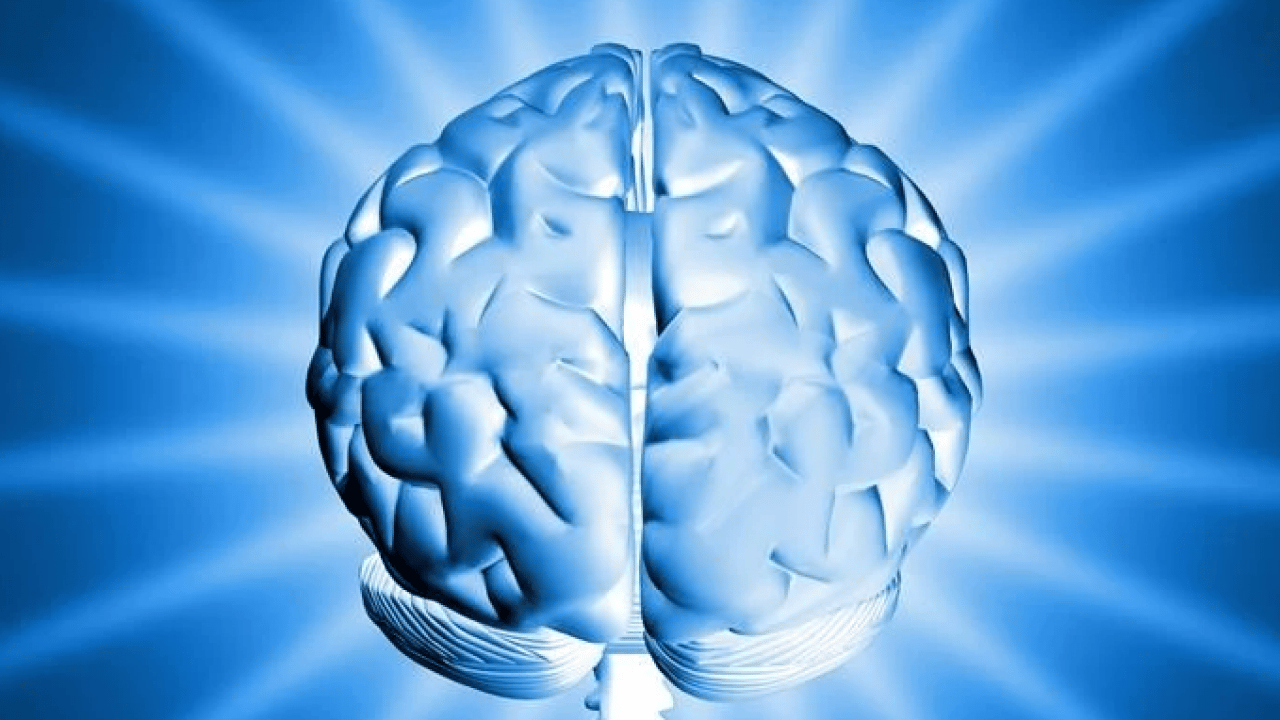 Foto - Dünyada en yüksek IQ’ya sahip ülkeler açıklandı! Bakın Türkiye kaçıncı sırada