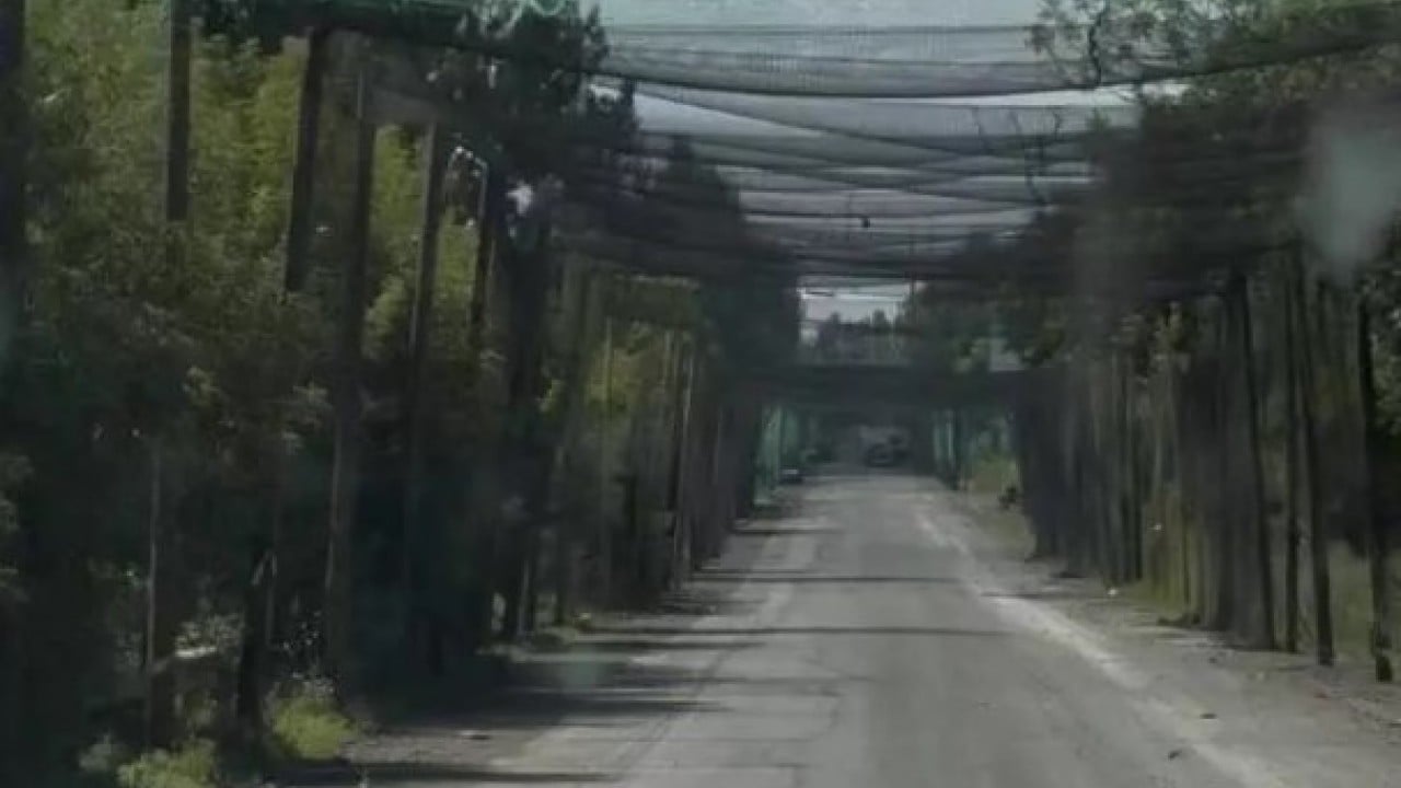 Foto - Dünyada eşi benzeri yok: Balıkçı ağlarından kalkan yaptılar!