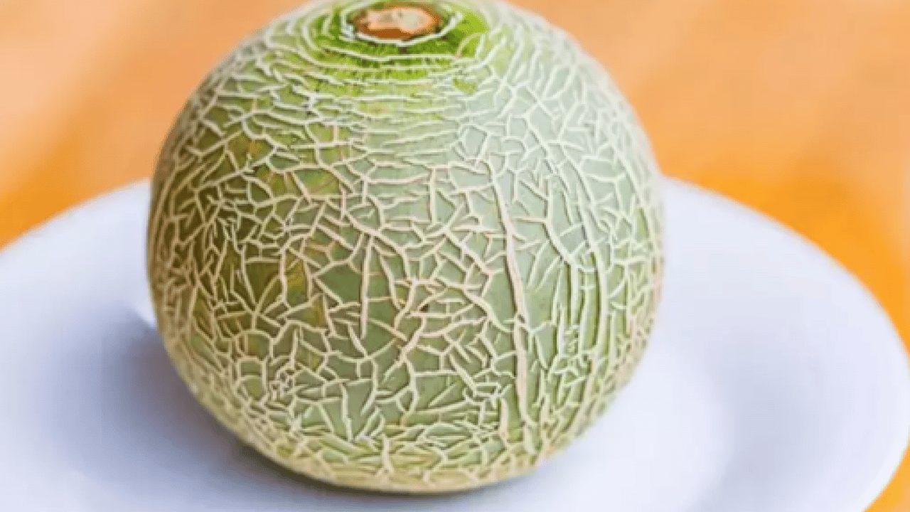 Foto - Dünyada eşi benzeri yok: Bu meyve masajla üretiliyor!