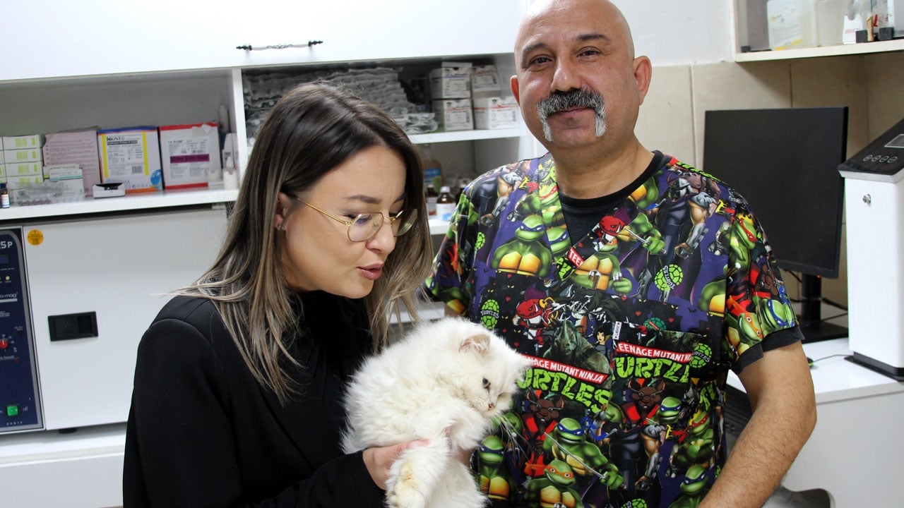 Foto - Dünyada ilk kez görüldü! Sokakta bulunan kediden çıkan sonuç şaşırttı