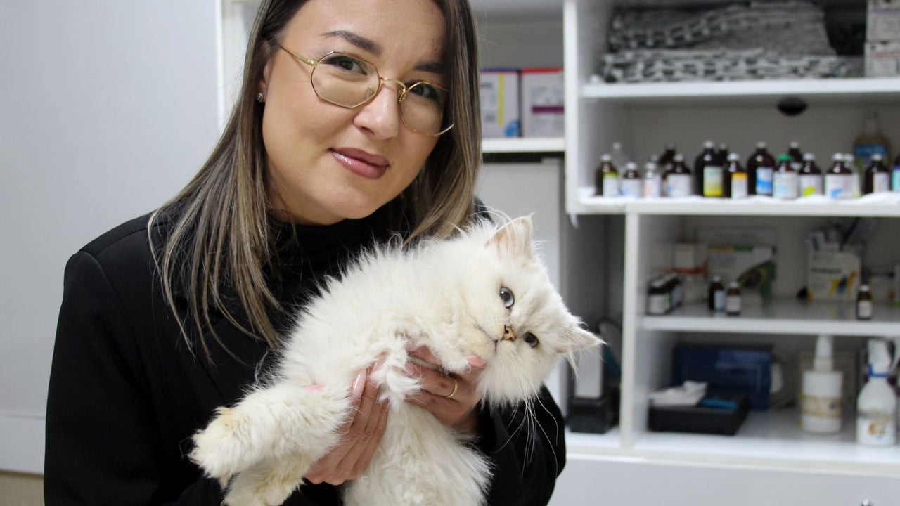 Foto - Dünyada ilk kez görüldü! Sokakta bulunan kediden çıkan sonuç şaşırttı