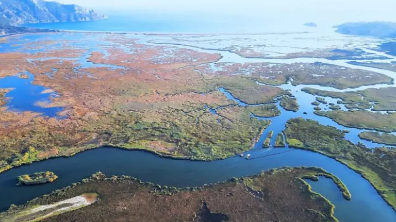 Foto - Dünyada nadir bulunuyor: O ilimize akın akın geliyorlar!