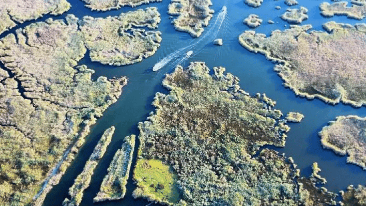 Foto - Dünyada nadir bulunuyor: O ilimize akın akın geliyorlar!