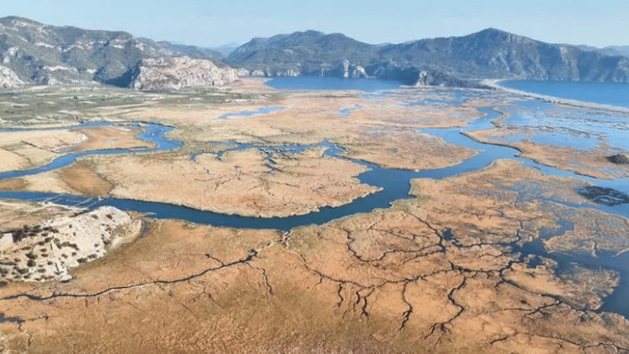 Foto - Dünyada nadir bulunuyor: O ilimize akın akın geliyorlar!