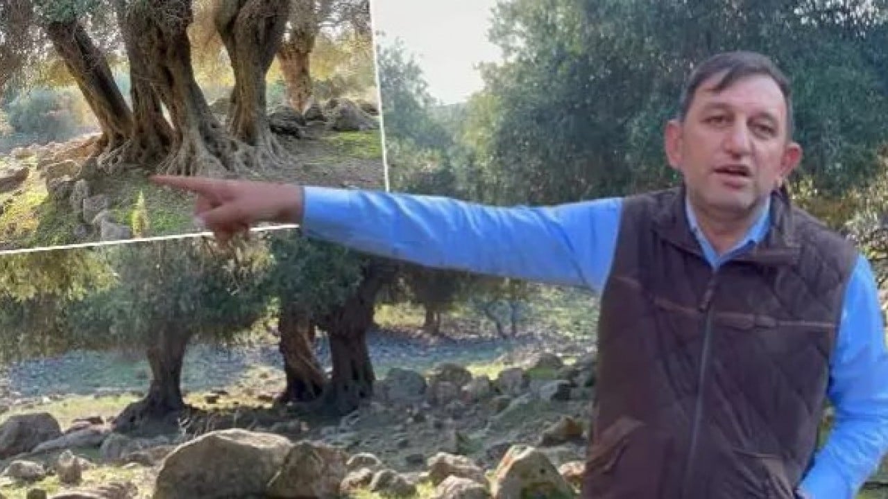 Dünyada sadece 4 ülkede var! Türkiye'de gizemini çözemediler!