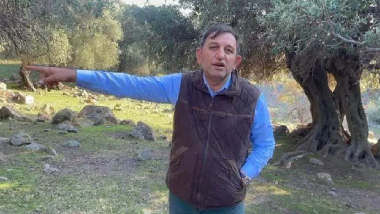 Foto - Dünyada sadece 4 ülkede var! Türkiye'de gizemini çözemediler!