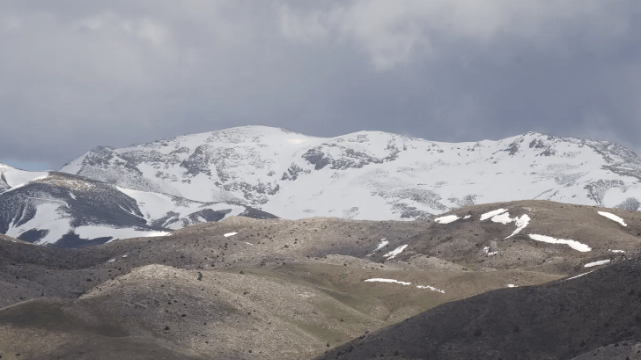 Foto - Dünyada sadece Malatya'da yetişiyor! Koparmanın cezası 700 bin lira!