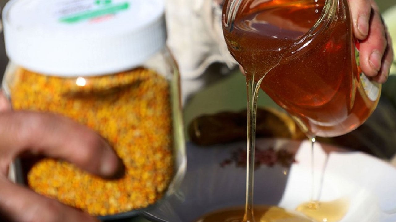 Foto - Dünyada sadece Türkiye'de üretiliyor: Kilosu 20 bin liraya çıktı…