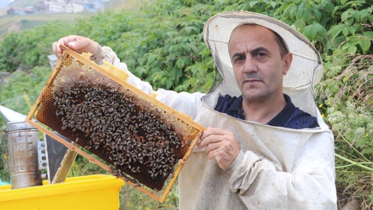 Foto - Dünyada sadece Türkiye'de üretiliyor: Kilosu 20 bin liraya çıktı…