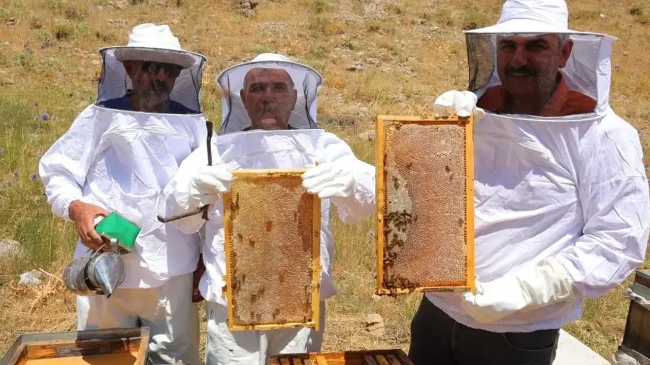 Foto - Dünyada sadece Türkiye'de üretiliyor: Kilosu 20 bin liraya çıktı…