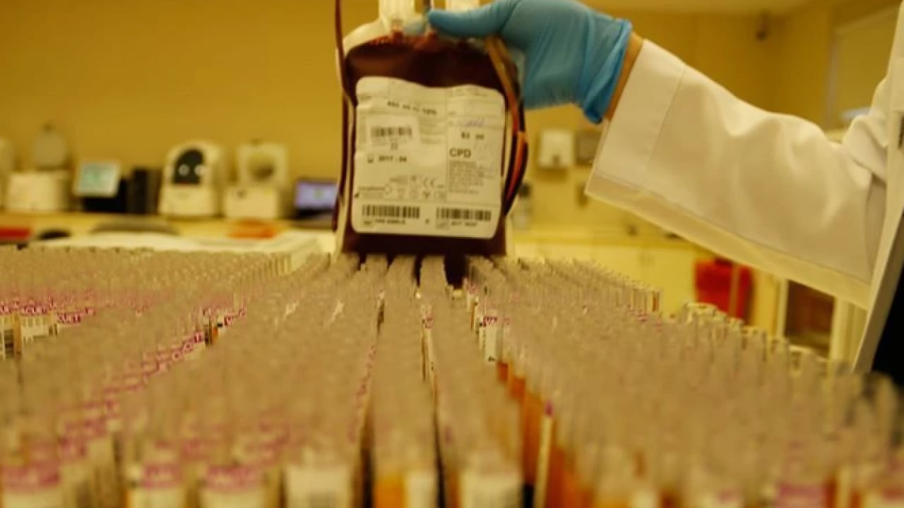 Foto - Dünyada sayılı insan bu kana sahip! ‘Altın kan'ın bir damlası servet değerinde