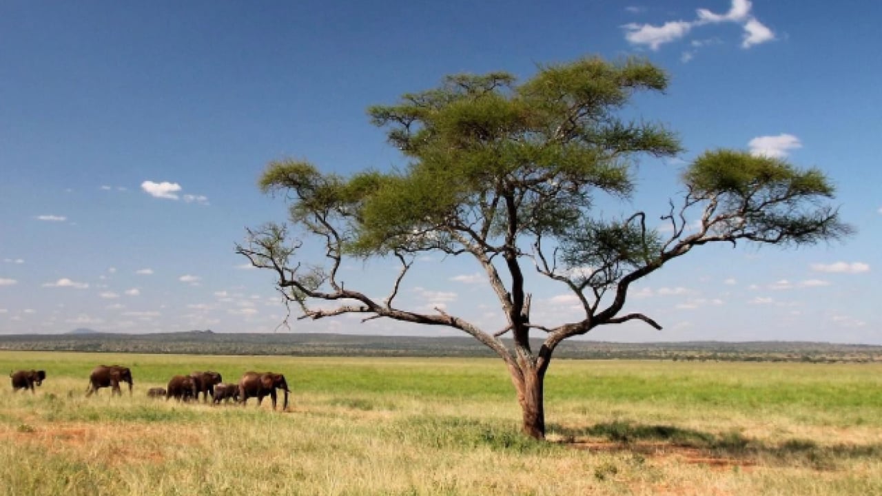 Foto - Dünyada yaşamın sonu ne zaman? Oksijenin biteceği tarih netleşiyor