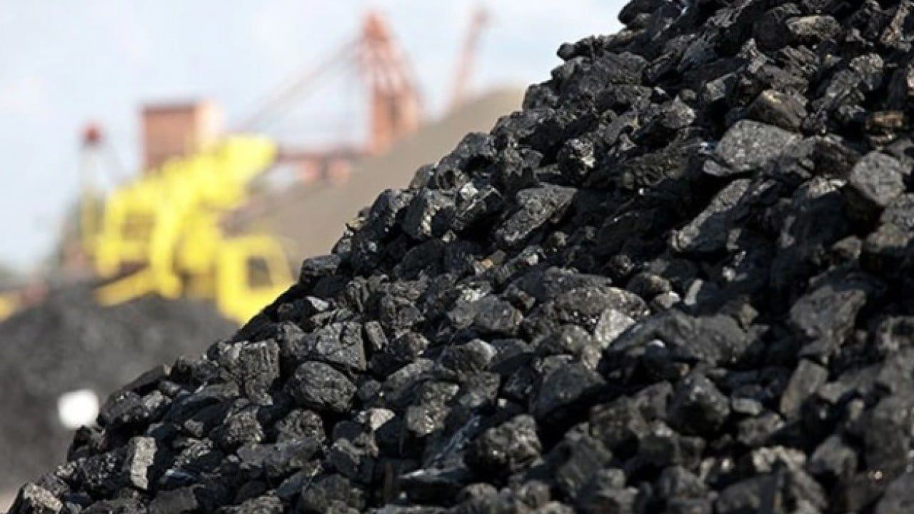 Dünyada zirveye yerleşti! Tarihin en yüksek seviyesini gördü!