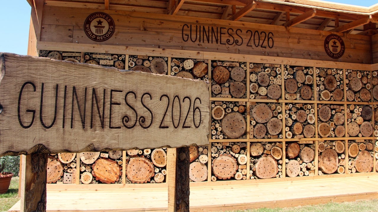 Dünyanın en büyük arı oteli! Guinness rekoru Türkiye’ye geldi