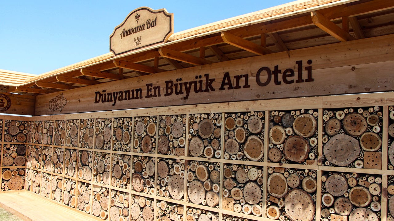 Foto - Dünyanın en büyük arı oteli! Guinness rekoru Türkiye’ye geldi