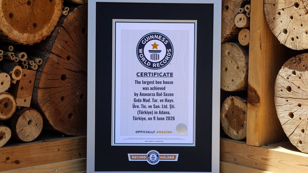 Foto - Dünyanın en büyük arı oteli! Guinness rekoru Türkiye’ye geldi