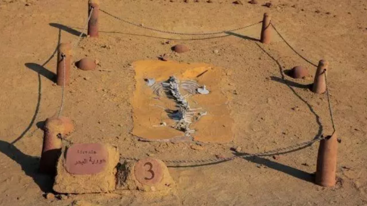 Foto - Dünyanın en eskileri belli oldu! Türkiye'den iki şehir listeye girdi!