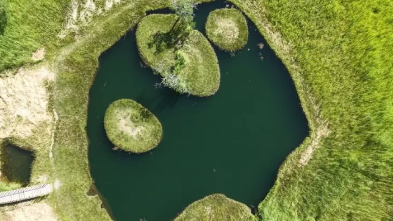 Foto - Dünyanın en nadir adalarından: Ağaçların nasıl hareket ettiği görüntülendi!
