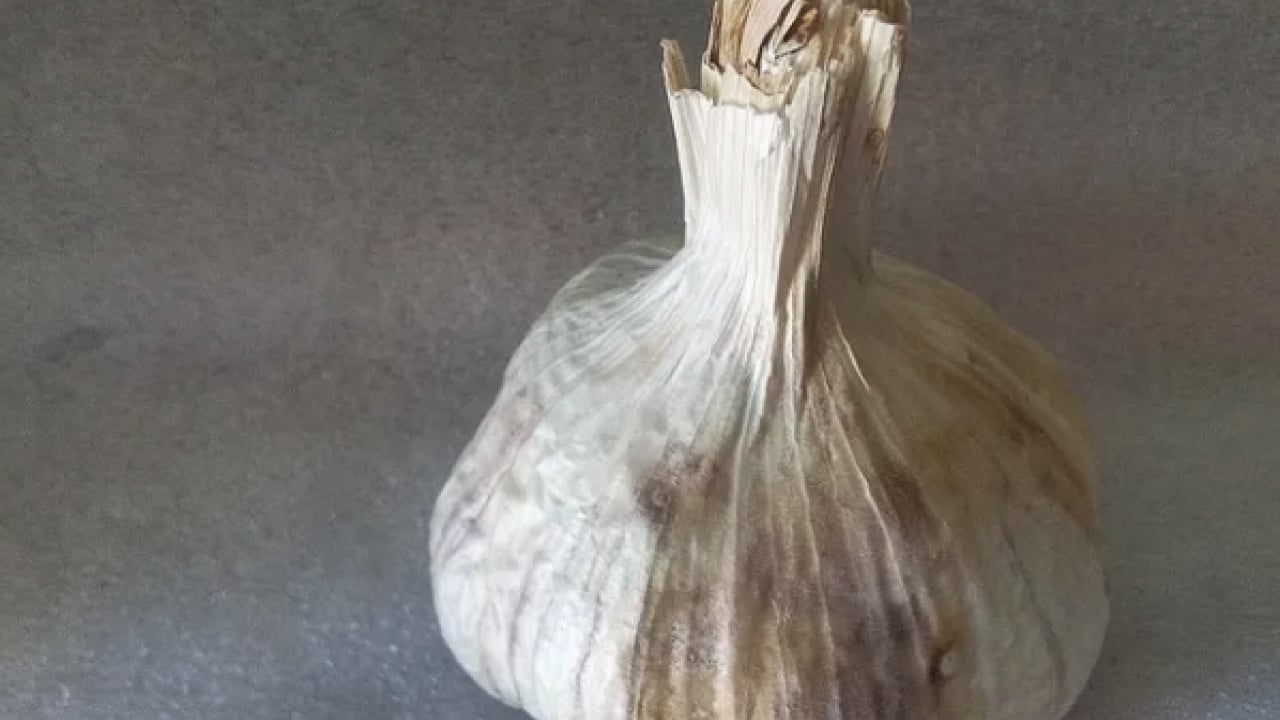 Foto - Dünyanın en iyi 17 sarımsağı açıklandı: Türkiye'den 2 çeşit listede... İlk sırayı o ülke aldı