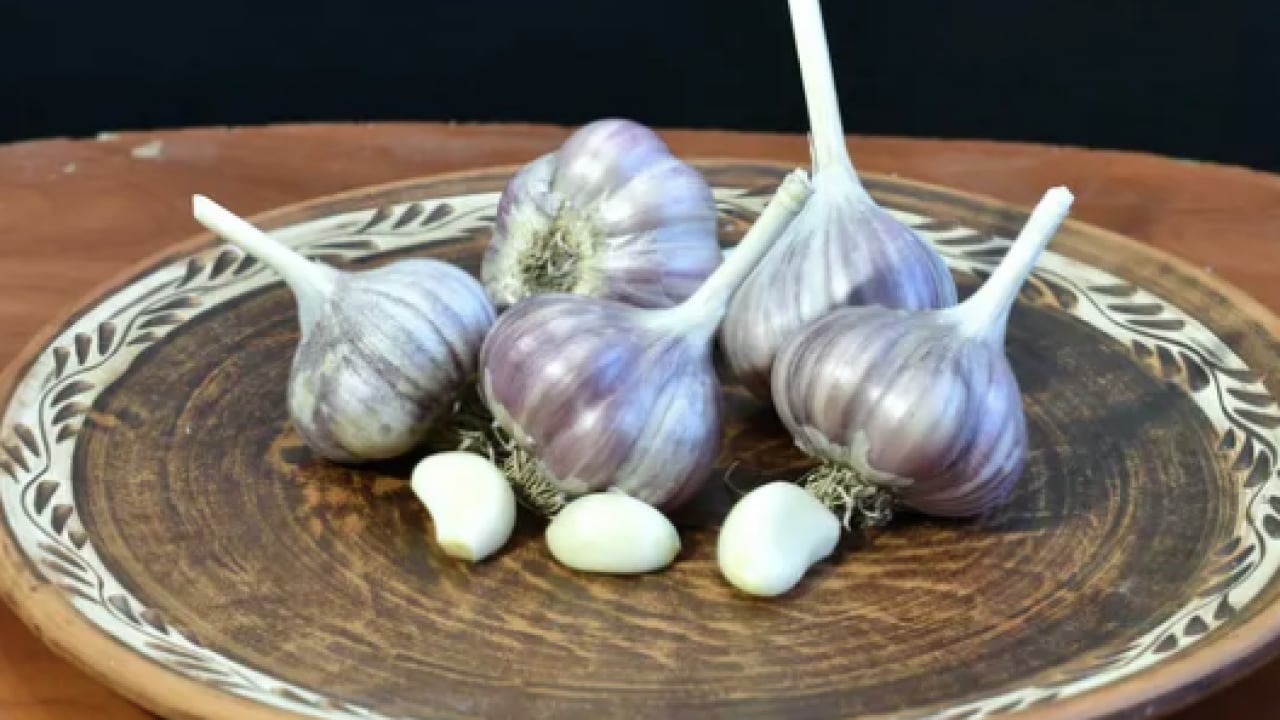 Foto - Dünyanın en iyi 17 sarımsağı açıklandı: Türkiye'den 2 çeşit listede... İlk sırayı o ülke aldı