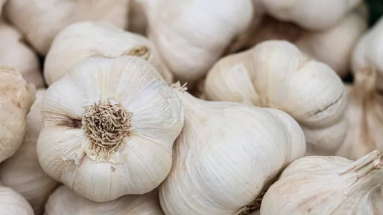 Foto - Dünyanın en iyi 17 sarımsağı açıklandı: Türkiye'den 2 çeşit listede... İlk sırayı o ülke aldı