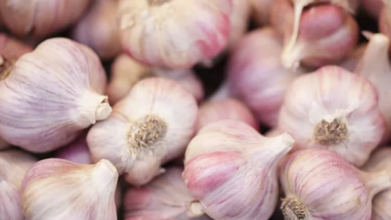 Foto - Dünyanın en iyi 17 sarımsağı açıklandı: Türkiye'den 2 çeşit listede... İlk sırayı o ülke aldı