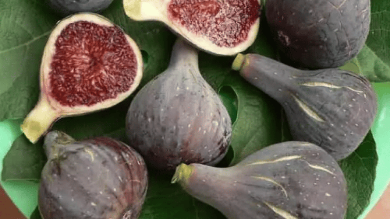 Foto - Dünyanın en iyi incirleri belli oldu: Türkiye'nin o ili zirveye oturdu!