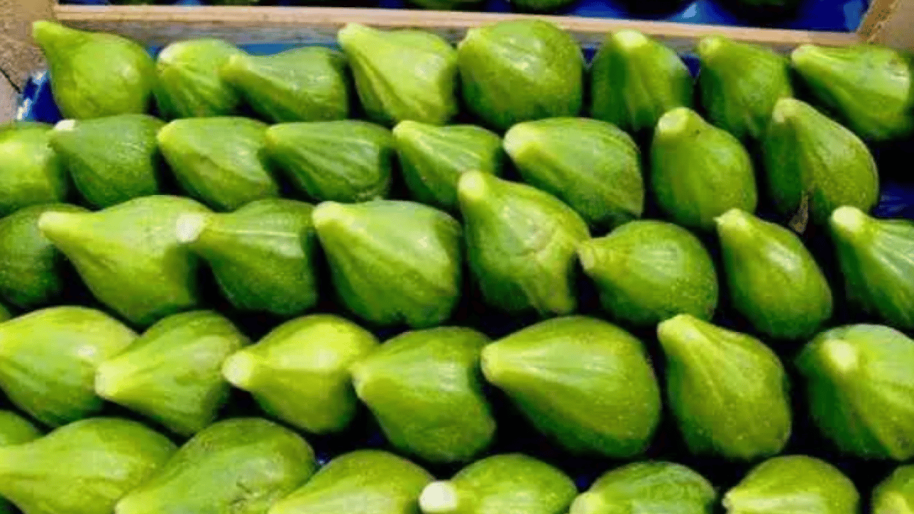 Foto - Dünyanın en iyi incirleri belli oldu: Türkiye'nin o ili zirveye oturdu!