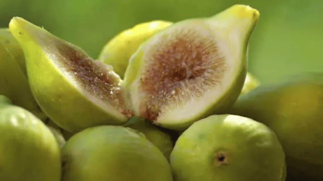 Foto - Dünyanın en iyi incirleri belli oldu: Türkiye'nin o ili zirveye oturdu!