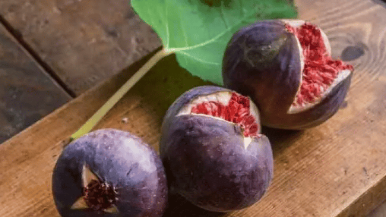 Foto - Dünyanın en iyi incirleri belli oldu: Türkiye'nin o ili zirveye oturdu!