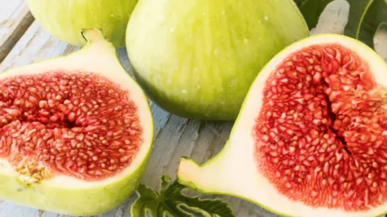 Foto - Dünyanın en iyi incirleri belli oldu: Türkiye'nin o ili zirveye oturdu!