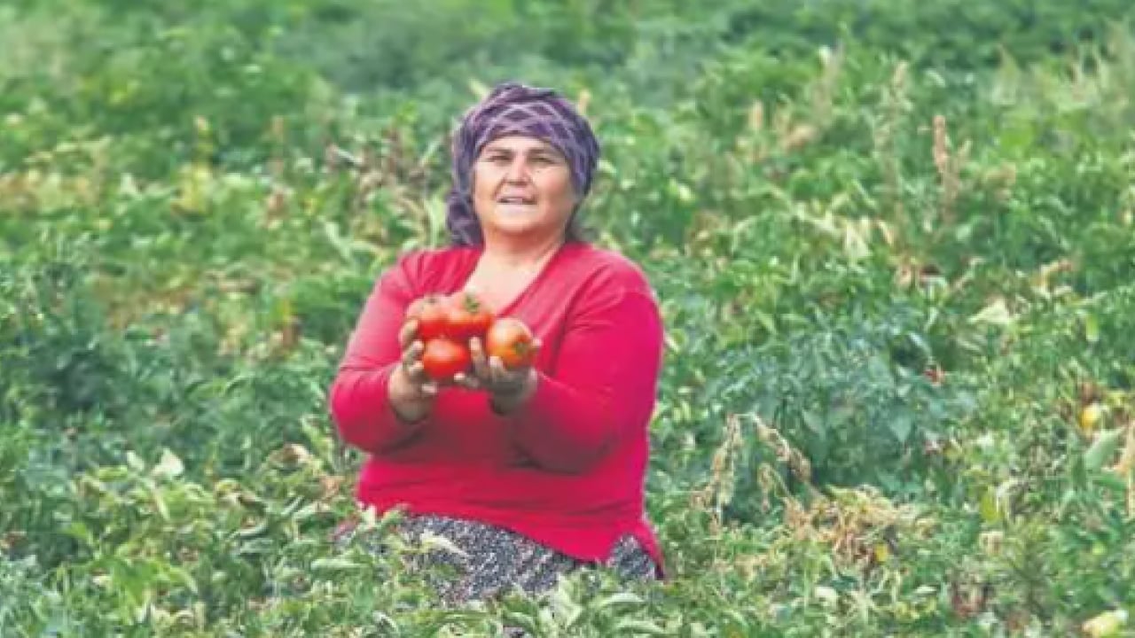 Foto - Dünyanın en iyileri açıklandı! Türkiye ve İtalya yarışıyor!